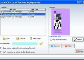 PDF to PDF/A Conversion Tool screenshot