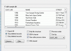 DBF Converter screenshot