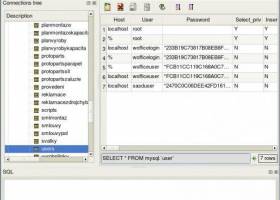 QT SQL Monitor screenshot