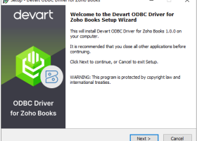 Zoho Books ODBC Driver by Devart screenshot