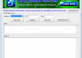 Udp Client Server screenshot