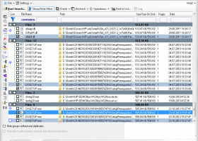 Duplicate & Same Files Searcher screenshot