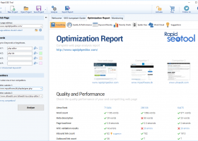 Rapid SEO Tool screenshot