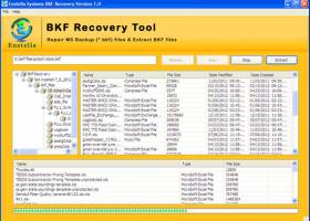 BKF Recovery screenshot