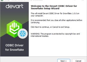 Snowflake ODBC Driver by Devart screenshot