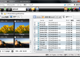 FileMany 64-bit screenshot