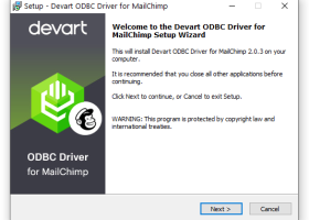 Mailchimp ODBC Driver by Devart screenshot