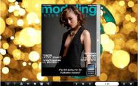 Flash Magazine Themes for Light Spot Style screenshot