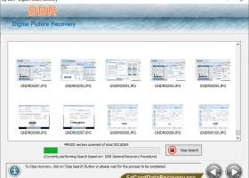 Digital Picture Recovery Software screenshot