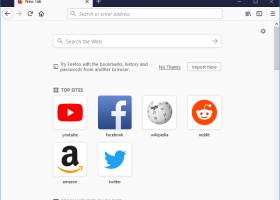 Portable Firefox screenshot