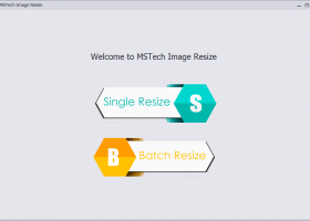 MSTech Image Resize Basic screenshot