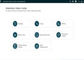 VideoSolo Video Cutter screenshot