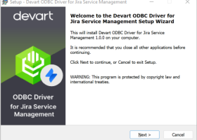 Jira Service Management ODBC Driver by Devart screenshot