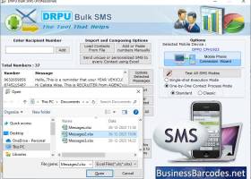 Bulk Messages Managing Software screenshot