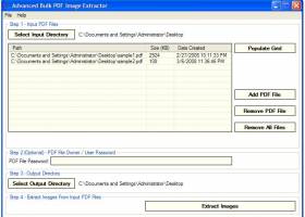 Advanced Bulk PDF Image Extractor screenshot