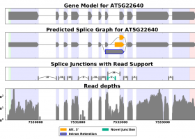 SpliceGrapher screenshot