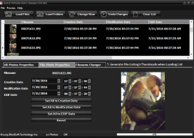Batch MMedia Date Changer screenshot