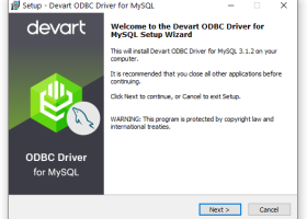 MySQL ODBC Driver by Devart screenshot