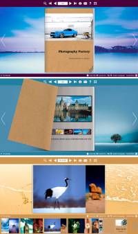 Neat Gallery Flip Theme Package screenshot