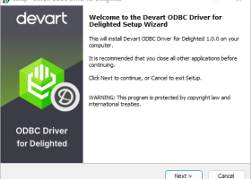 Delighted ODBC Driver by Devart screenshot
