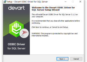 SQL Server ODBC Driver by Devart screenshot