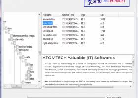 Atom TechSoft Windows Data Recovery screenshot