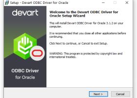 Oracle ODBC Driver by Devart screenshot
