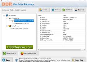Salvage USB Hard Disk Data screenshot