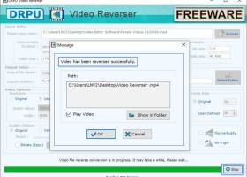 Video Reversing Software for Windows OS screenshot