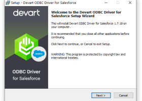 Salesforce ODBC Driver by Devart screenshot