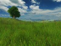 Grassland 3D Screensaver screenshot