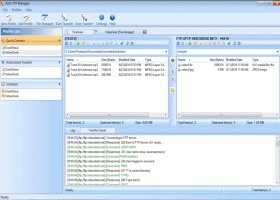 Auto FTP Manager screenshot