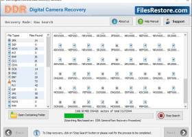 Digital Camera Pictures Restore screenshot