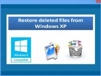 Restore deleted files from Windows XP screenshot