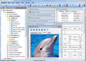 SQL Maestro for MySQL screenshot