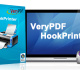 VeryPDF HookPrinter SDK
