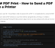 C# Print PDF