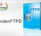 RaidenFTPD FTP Server